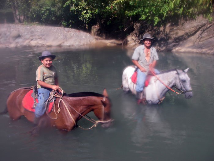 Wrangler aT Rafiki Safari Lodge