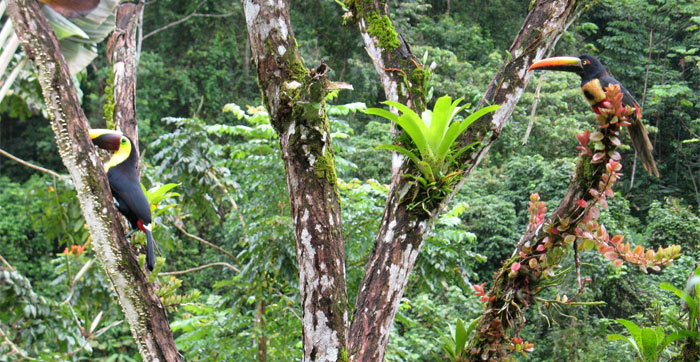 Special pacakge deal for staying three nights